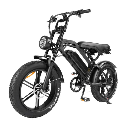 FatBike Bici Elettrica PRO 20" 30km/h